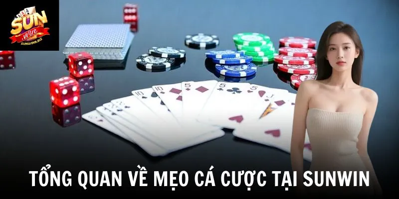 Tổng quan về mẹo cá cược tại Sunwin